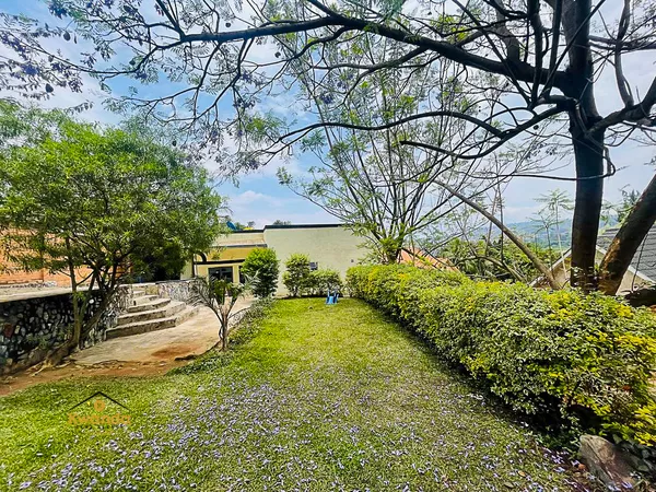 x1.jpg.pagespeed.ic.MfmmHDPZ95