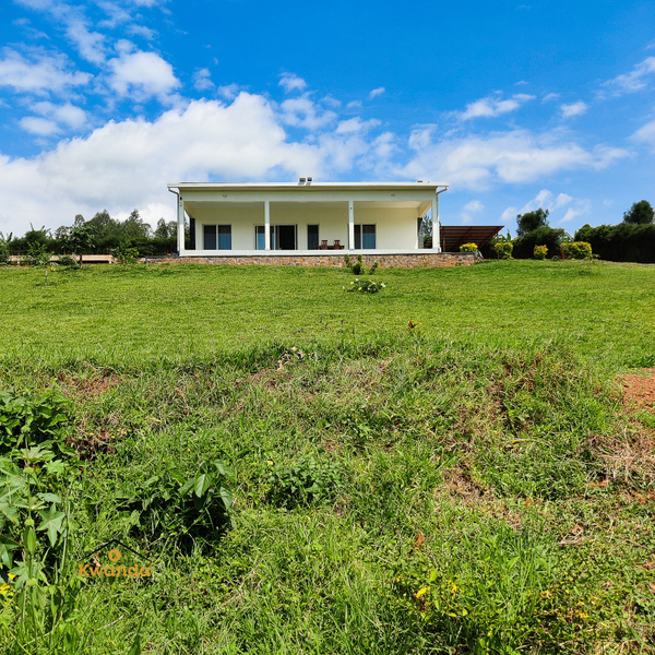 ximg-20250605-111635.jpg.pagespeed.ic.y1sCf6S0tL